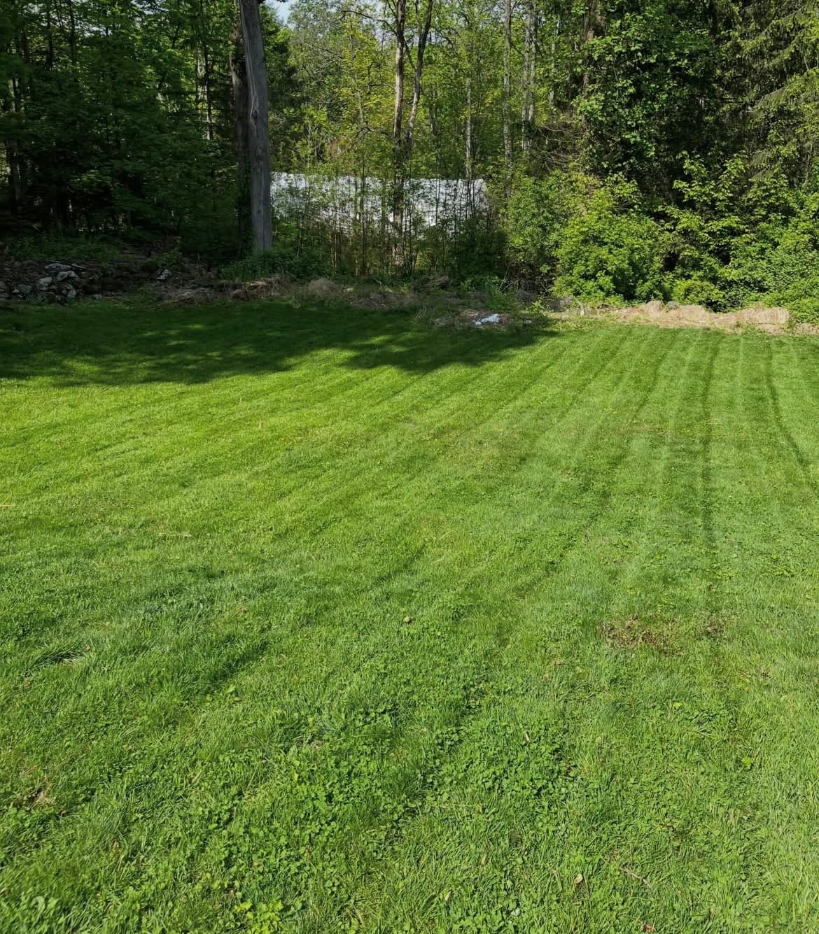 Freshly mowed green lawn with visible stripes, bordered by a dense forest of trees.